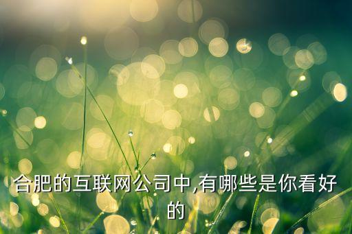 合肥的互聯網公司中,有哪些是你看好的