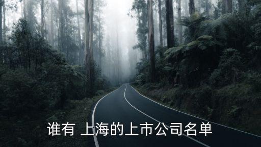 上海數據港發行價格,中電港發行價格是多少