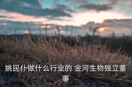 姚民仆做什么行業的 金河生物獨立董事