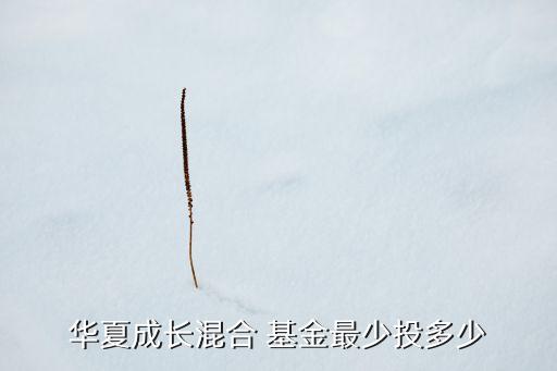 160105基金指數