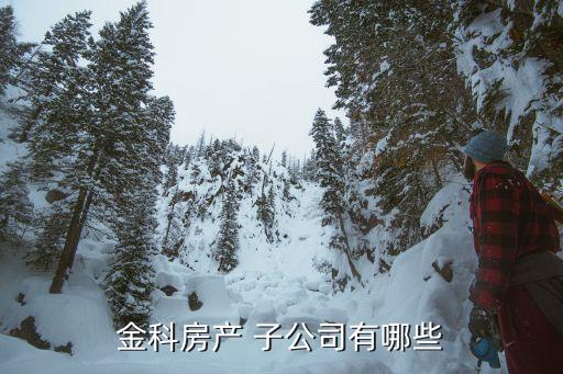 金科房產 子公司有哪些