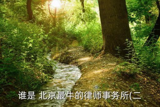 誰是 北京最牛的律師事務所(二