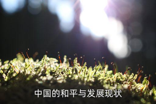 中國的和平與發展現狀