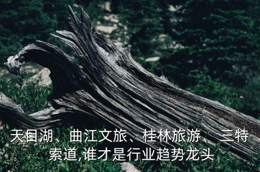 天目湖、曲江文旅、桂林旅游、 三特 索道,誰才是行業(yè)趨勢(shì)龍頭