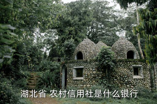  湖北省 農村信用社是什么銀行