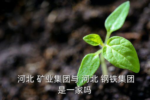 河北鋼鐵礦業公司貼吧,鞍山鋼鐵和礦業公司哪個好