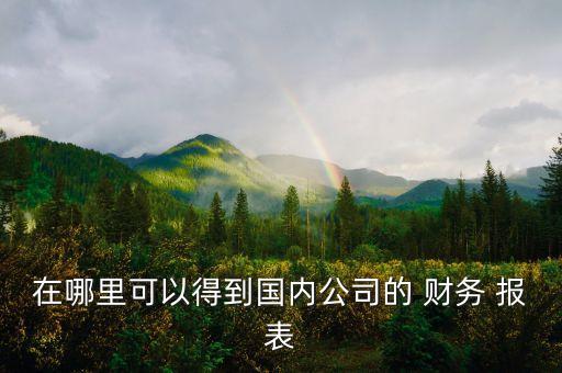 在哪里可以得到國內(nèi)公司的 財務 報表