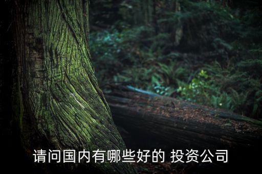 請問國內有哪些好的 投資公司