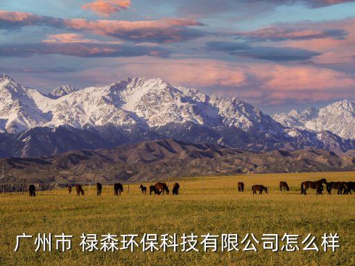 廣州市 祿森環保科技有限公司怎么樣