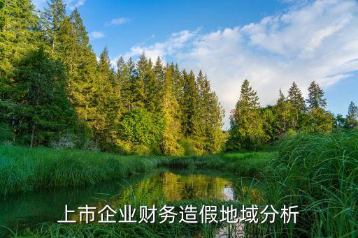 上市企業財務造假地域分析