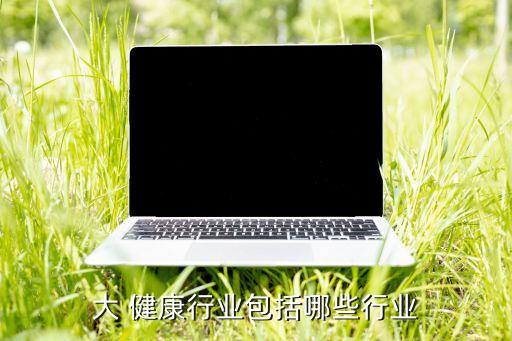 中國9號健康產業,中國健康產業CHHE