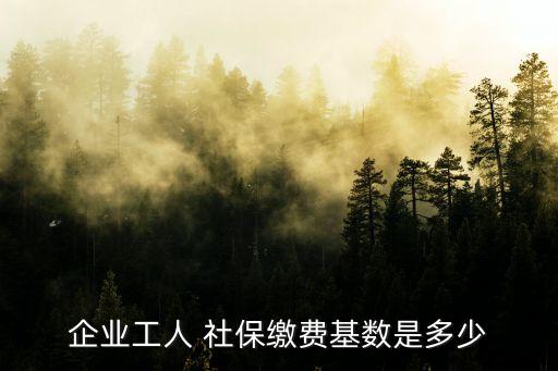 企業工人 社保繳費基數是多少