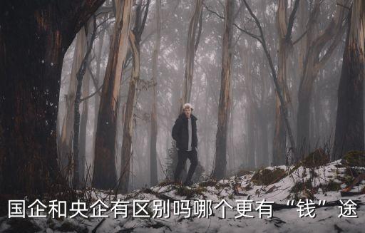 國企和央企有區別嗎哪個更有“錢”途