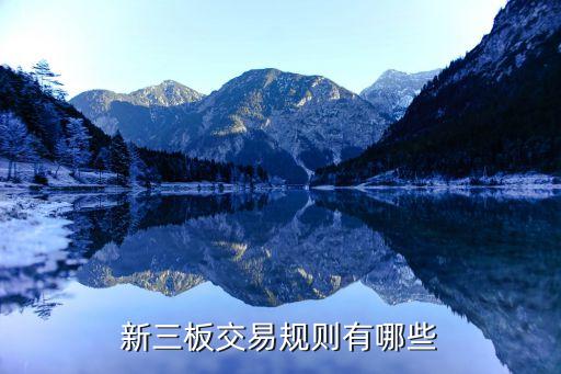 全國股份轉讓系統股票發行業務指引第3條