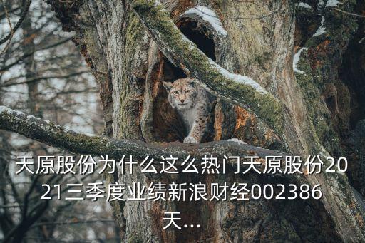 持續產業股份公司,日本產業合作伙伴股份公司
