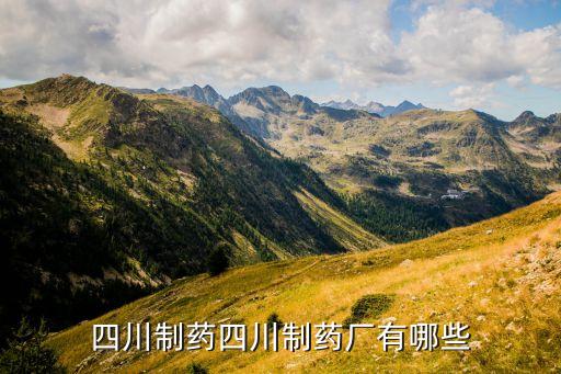 西安世紀盛康藥業有限公司