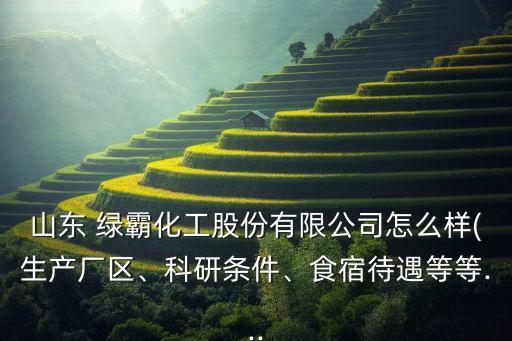 山東 綠霸化工股份有限公司怎么樣(生產廠區、科研條件、食宿待遇等等...