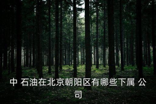 中 石油在北京朝陽區有哪些下屬 公司