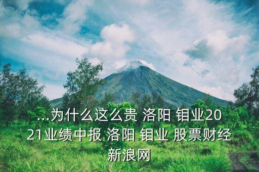 ...為什么這么貴 洛陽 鉬業2021業績中報 洛陽 鉬業 股票財經新浪網