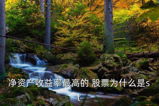 凈資產收益率最高的 股票為什么是st