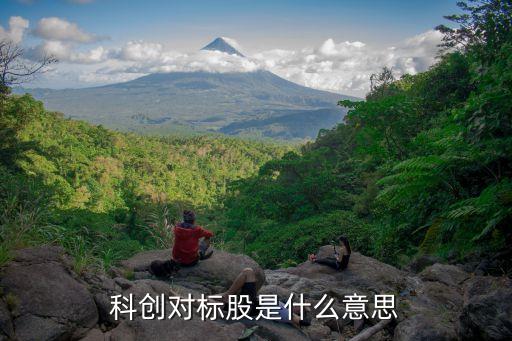 科創對標股是什么意思