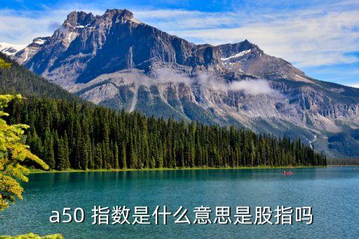 富時中國a50指數是什么,MSCI中國A50指數