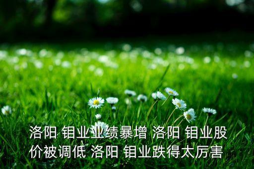  洛陽 鉬業業績暴增 洛陽 鉬業股價被調低 洛陽 鉬業跌得太厲害