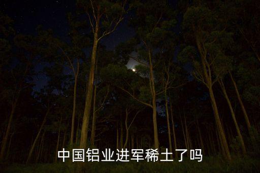 中國鋁業進軍稀土了嗎