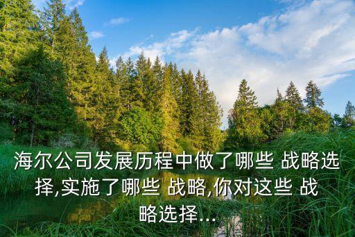 海爾公司發展歷程中做了哪些 戰略選擇,實施了哪些 戰略,你對這些 戰略選擇...