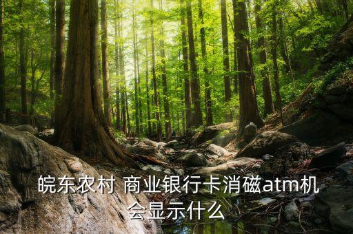 皖東商業銀行,滁州皖東農村商業銀行