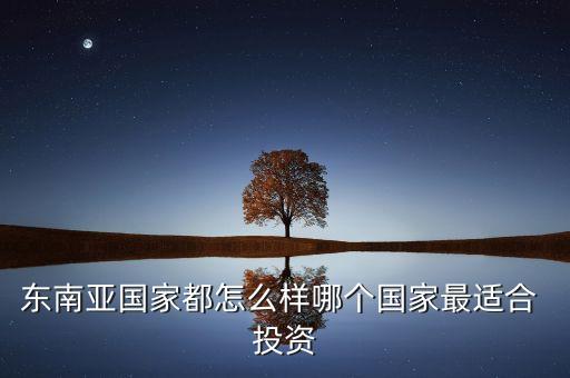 2015年越南投資環境