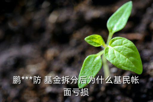 鵬華醫藥基金001230