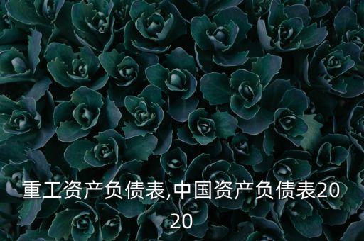 中國重工資產負債表,中國資產負債表2020