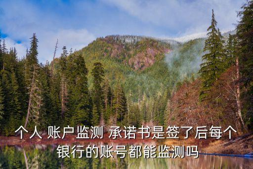個人 賬戶監測 承諾書是簽了后每個 銀行的賬號都能監測嗎