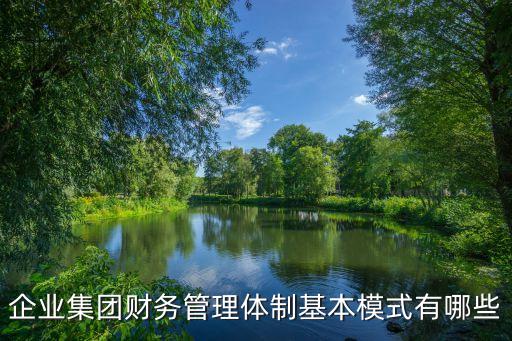 企業集團財務管理體制基本模式有哪些