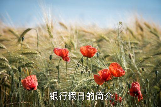 銀行圣誕節方案,圣誕節主題活動方案