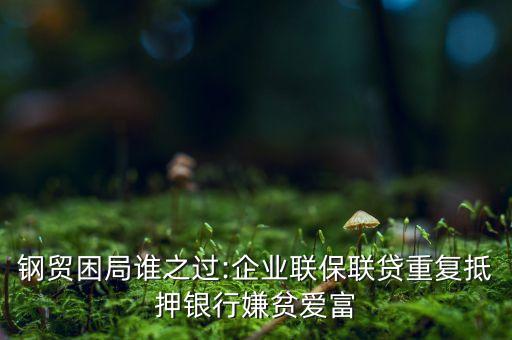 鋼貿困局誰之過:企業聯保聯貸重復抵押銀行嫌貧愛富