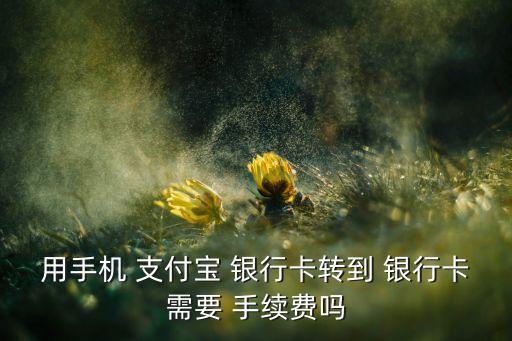 用手機 支付寶 銀行卡轉到 銀行卡需要 手續費嗎