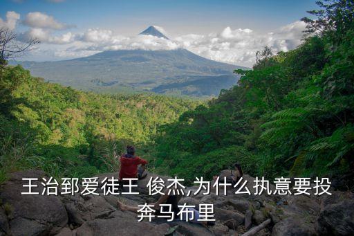 上海民生王俊杰,上?；磩F王俊杰簡介