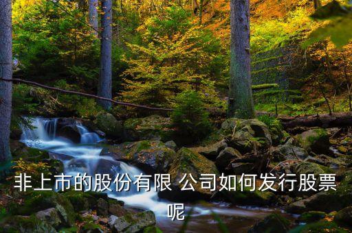非上市的股份有限 公司如何發行股票呢