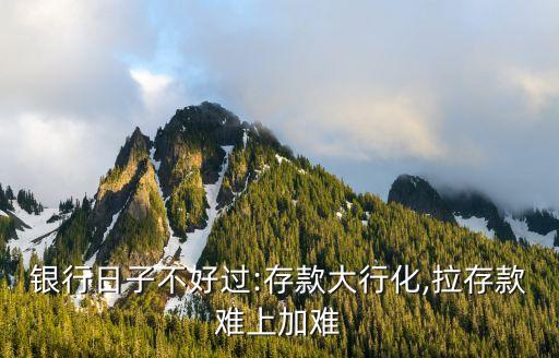 我國商業銀行面臨的挑戰,商業銀行面臨的機遇和挑戰