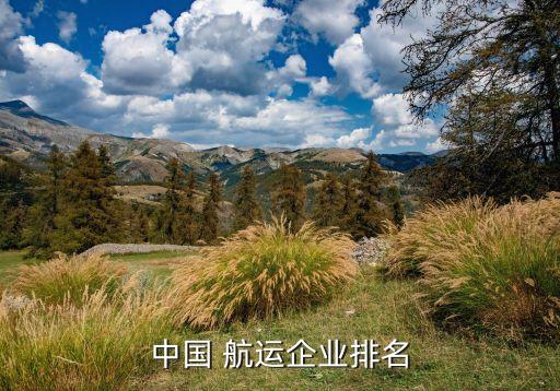 中國 航運企業排名