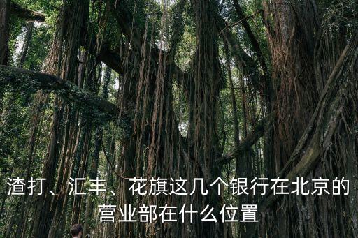 渣打、匯豐、花旗這幾個銀行在北京的營業部在什么位置