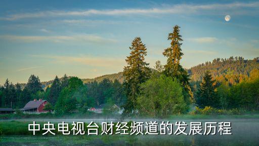 中央電視臺財經頻道的發展歷程