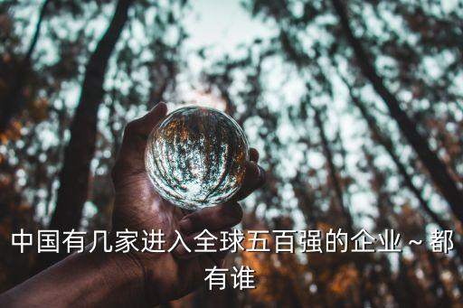 中國有幾家進入全球五百強的企業～都有誰