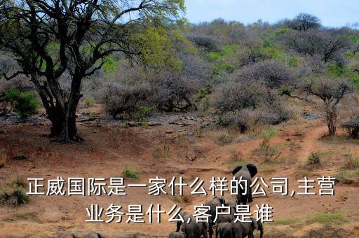  正威國際是一家什么樣的公司,主營業務是什么,客戶是誰