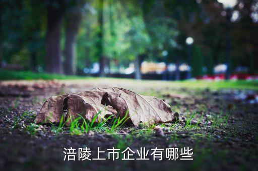 涪陵上市企業有哪些