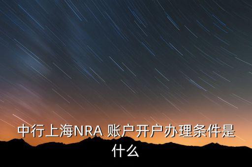 nra賬戶的境內投資