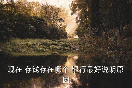 現在 存錢存在哪個 銀行最好說明原因