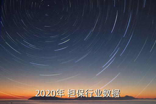 2020年 擔保行業數據